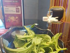 -红果树(江光店)