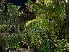 -自然餐厅(Phuket)
