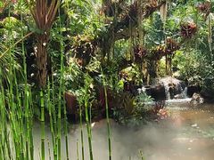 -昆明植物园