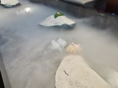 -将太无二·北美传奇寿司(荟聚购物中心西红门店)