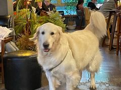 -咖法森林·咖啡  酒吧(天河店)