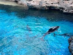 -珠海长隆海洋王国