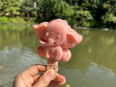 -西双版纳傣族园