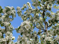 -远洋未来广场(育慧北路店)