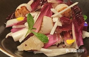 Pan-Seared Scallops with Grapefruit Salad