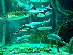 -华夏文旅海洋公园