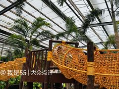 -呀路古热带植物园