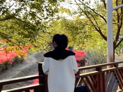 -泉州海丝野生动物世界