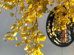 -辽宁省实验中学