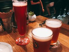 -Boxing Cat Brewery拳击猫精酿啤酒馆(永福店)