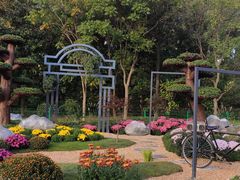 -上海共青森林公园