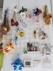 -卡卡喜糖伴手礼·商务礼宝宝礼·婚礼用品