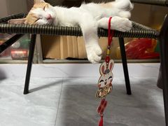 -潮澎派·潮汕菜大排档(南较西路店)