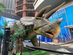 -重庆欢乐海底世界