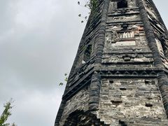 -上海佘山国家森林公园天马山园