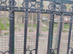 -山东省青岛第二中学(江西路分校)