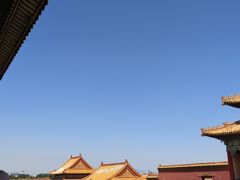 -西部马华清真食府·丝路菜(大钟寺店)