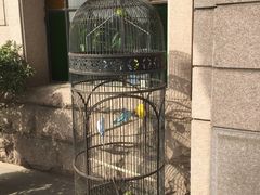 -老味道民宿(栈桥店)