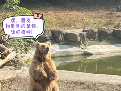 -宁波野生动物园
