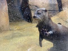 -哈尔滨波塞冬海底世界
