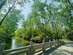 -溱湖国家湿地公园