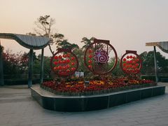 -金鸡山公园
