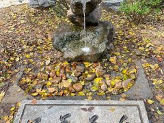 -大连植物园