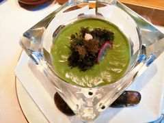 绿意竹丝燕-叶叶菩提·晋福宫