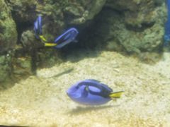 -福州罗源湾海洋世界旅游区