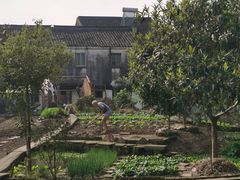 -丝绸小镇荻港古村