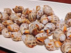 -高佳庄·舟山海鲜(海景旗舰店)