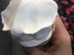 -麦丽丝红油辣椒冰淇淋(江家巷店)