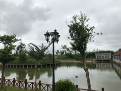 -盐城丹顶鹤湿地生态旅游区