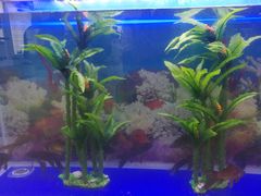 -甘肃国际会展中心