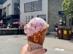 Fruits&nbsp;of&nbsp;forest-Patagonia Chocolates(皇后镇店)