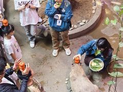 -正佳雨林生态植物园