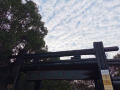 -天目湖山水园
