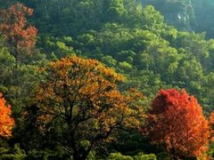 -藏龙百瀑风景区