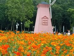 -顺峰山公园