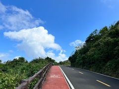 -海南铜鼓岭景区