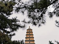 -大慈恩寺(大雁塔)
