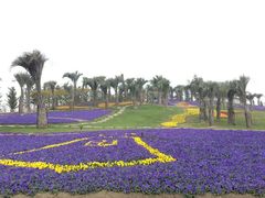 -南通洲际绿博园