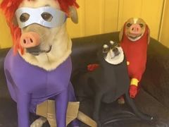 -林二哥宜烤官·宜宾小烧烤