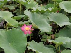 -天津东丽湖风景区