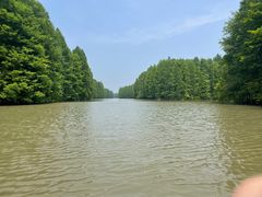 -上海海湾国家森林公园