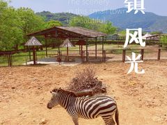 -无锡动物园·太湖欢乐园