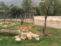 -西安秦岭野生动物园