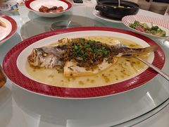 -圆苑(静安寺店)