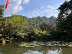 -中国茶叶博物馆(双峰馆区)