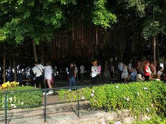 -胡里山炮台